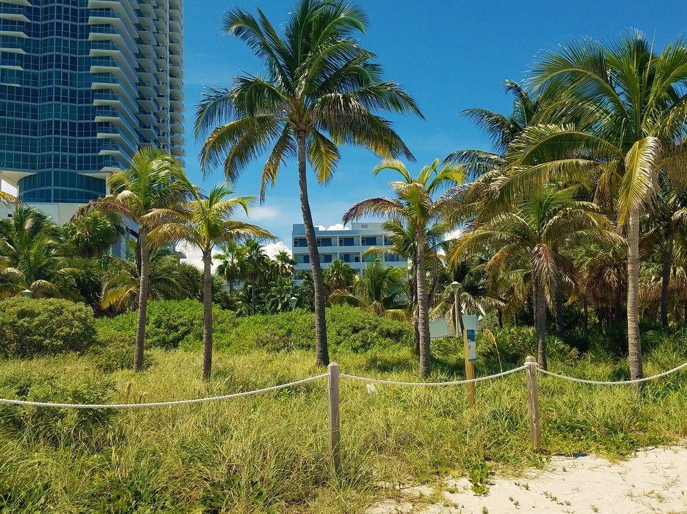 Seagull Hotel Miami Beach Exteriér fotografie
