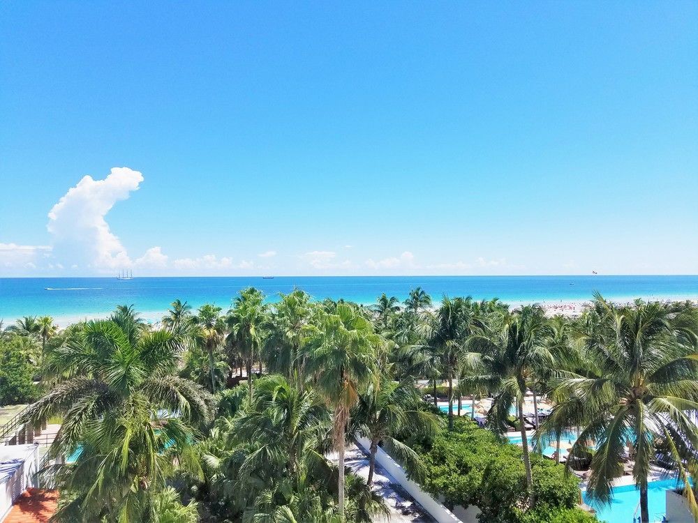 Seagull Hotel Miami Beach Exteriér fotografie
